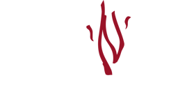 punch'n'judy